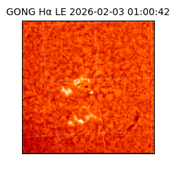 gong - 2026-02-03T01:00:42