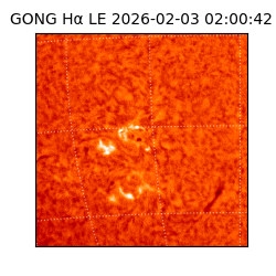 gong - 2026-02-03T02:00:42