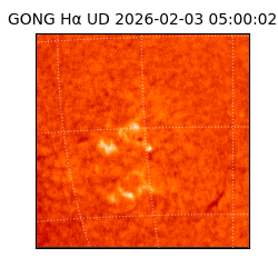 gong - 2026-02-03T05:00:02