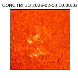 gong - 2026-02-03T10:00:02