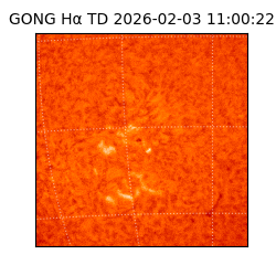 gong - 2026-02-03T11:00:22