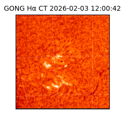 gong - 2026-02-03T12:00:42