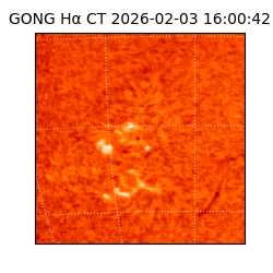 gong - 2026-02-03T16:00:42