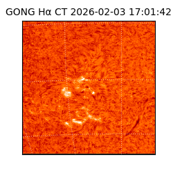 gong - 2026-02-03T17:01:42