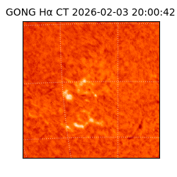 gong - 2026-02-03T20:00:42