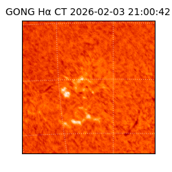 gong - 2026-02-03T21:00:42