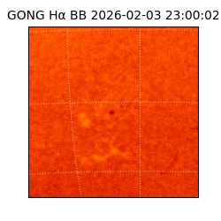 gong - 2026-02-03T23:00:02