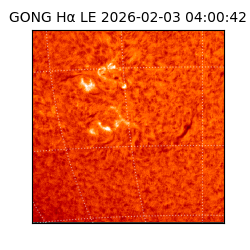 gong - 2026-02-03T04:00:42