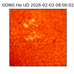 gong - 2026-02-03T08:00:02