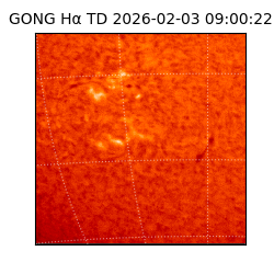 gong - 2026-02-03T09:00:22