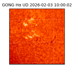 gong - 2026-02-03T10:00:02