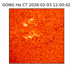 gong - 2026-02-03T12:00:42