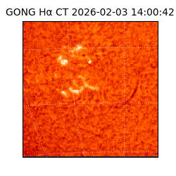 gong - 2026-02-03T14:00:42