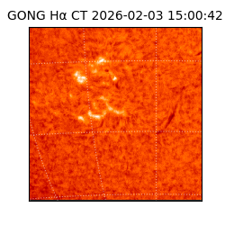 gong - 2026-02-03T15:00:42