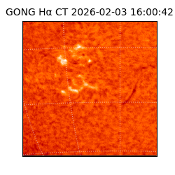 gong - 2026-02-03T16:00:42