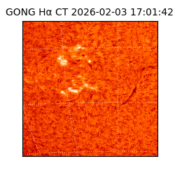gong - 2026-02-03T17:01:42