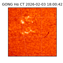 gong - 2026-02-03T18:00:42