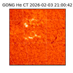 gong - 2026-02-03T21:00:42