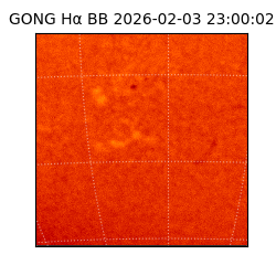 gong - 2026-02-03T23:00:02