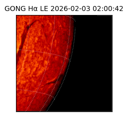 gong - 2026-02-03T02:00:42