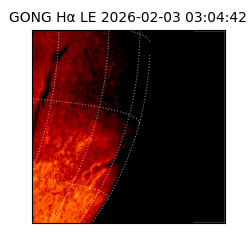 gong - 2026-02-03T03:04:42