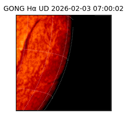 gong - 2026-02-03T07:00:02