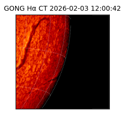 gong - 2026-02-03T12:00:42