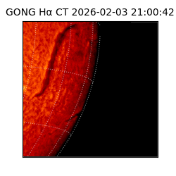 gong - 2026-02-03T21:00:42
