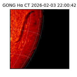gong - 2026-02-03T22:00:42