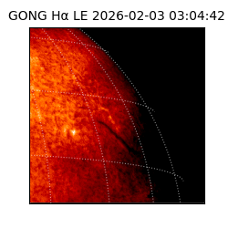 gong - 2026-02-03T03:04:42