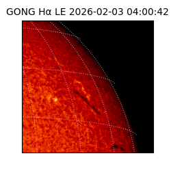 gong - 2026-02-03T04:00:42