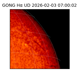 gong - 2026-02-03T07:00:02
