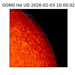 gong - 2026-02-03T10:00:02
