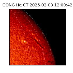 gong - 2026-02-03T12:00:42