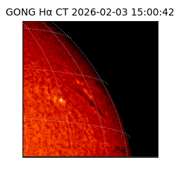 gong - 2026-02-03T15:00:42