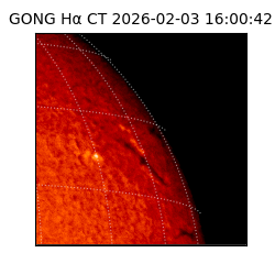 gong - 2026-02-03T16:00:42