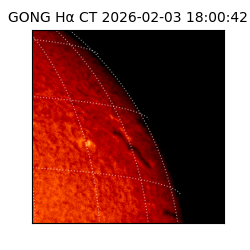 gong - 2026-02-03T18:00:42