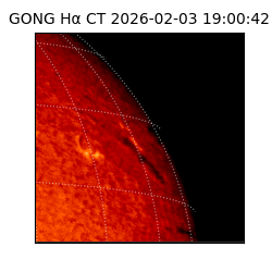 gong - 2026-02-03T19:00:42