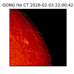 gong - 2026-02-03T22:00:42