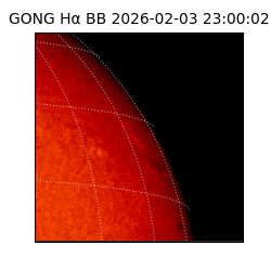gong - 2026-02-03T23:00:02