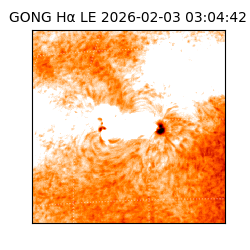 gong - 2026-02-03T03:04:42