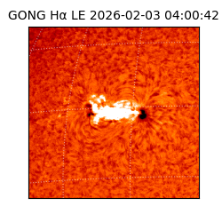 gong - 2026-02-03T04:00:42