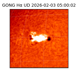 gong - 2026-02-03T05:00:02