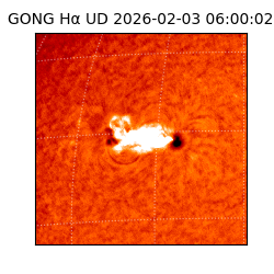 gong - 2026-02-03T06:00:02