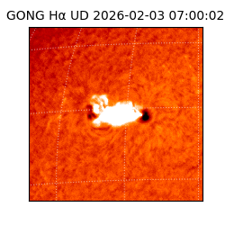 gong - 2026-02-03T07:00:02