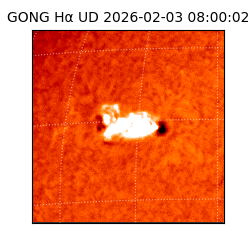 gong - 2026-02-03T08:00:02