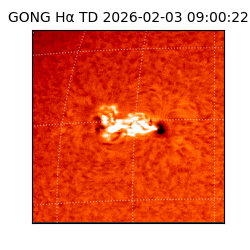 gong - 2026-02-03T09:00:22