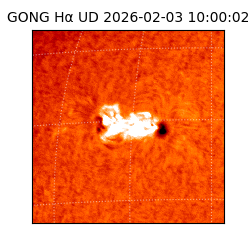 gong - 2026-02-03T10:00:02