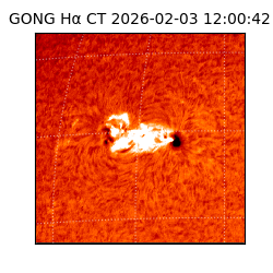 gong - 2026-02-03T12:00:42