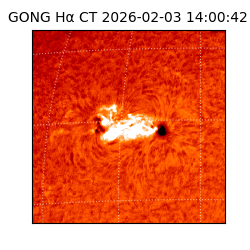 gong - 2026-02-03T14:00:42